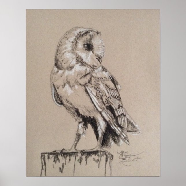 Poster Barn Owl (Devant)