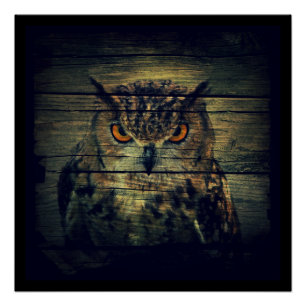 Poster Barn Wood Gothique oiseau sauvage Éffrayant chouet