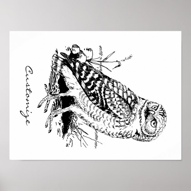 Poster Barne Owl Thunder_Cove (Devant)