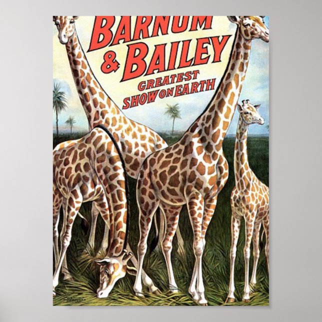 Poster Barnum & Bailey Giraffes Théâtre rétro (Devant)