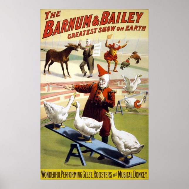 Poster Barnum & Bailey - Merveilleuse oie performante (Devant)
