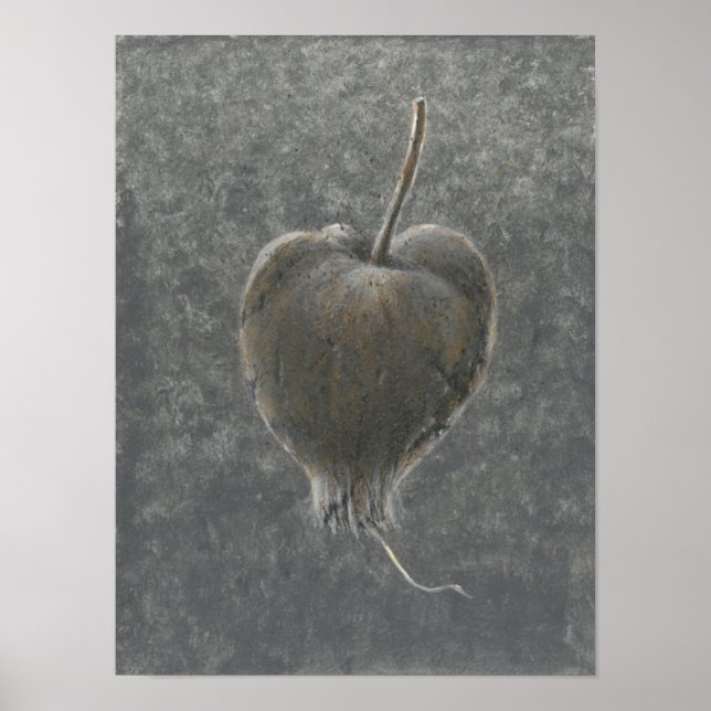 Poster Barringtonia Acutangula 2 (Devant)