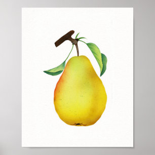 Poster Bartlett Juicy Pear Fruit Kitchen