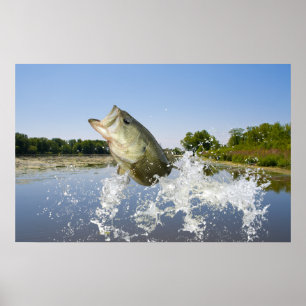 Poster Bass Jump 2013