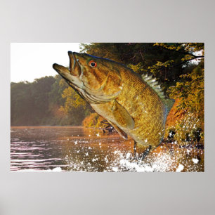 Poster Basse Smallmouth