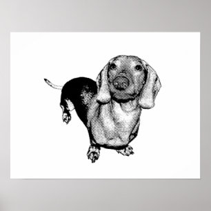 Poster Basset allemand noir et blanc tramé Doxie de phot