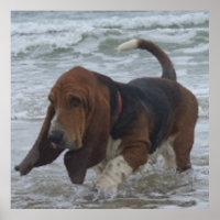 Poster Basset Hound À La Mer