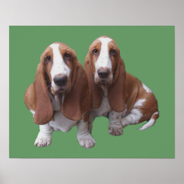 Poster Basset Hound Buddies Imprimer (Devant)