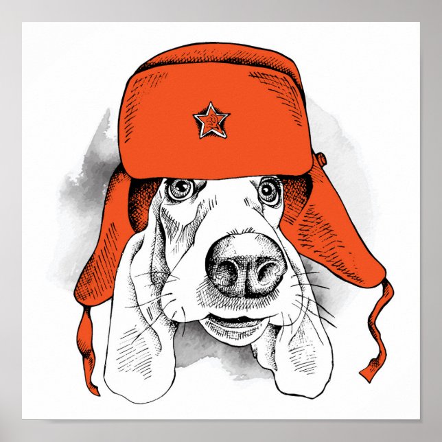 Poster Basset Hound | Casquette rouge Ushanka (Devant)