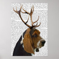 Basset Hound et Antlers