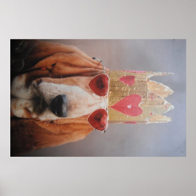 Poster Basset Hound König (Vorne)