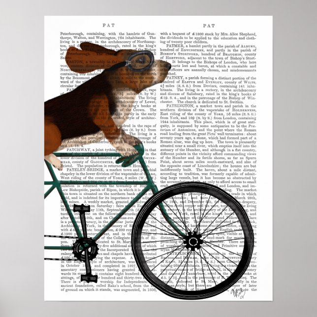 Poster Basset Hound sur vélo (Devant)