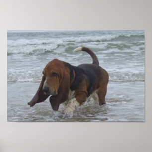Poster-Basset-Hund am Meer Poster