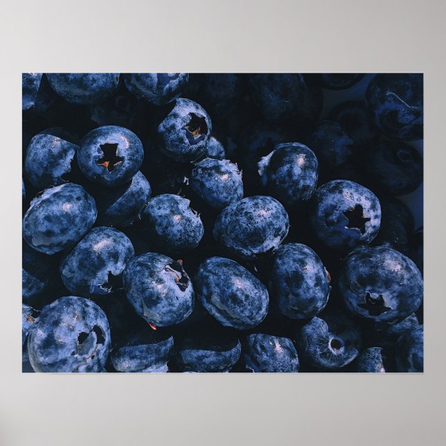 Poster Bassin biologique mûr de bleuets (Devant)
