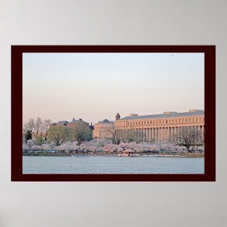 Poster Bassin de marée