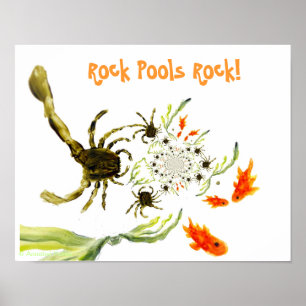 Poster Bassin de rochers à la mer Drôles de crabes poisso
