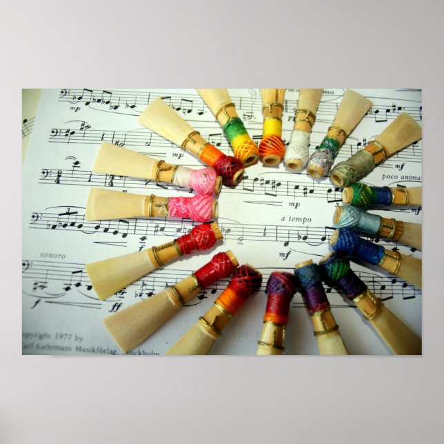 Poster Bassoon Reed Rainbow (Devant)