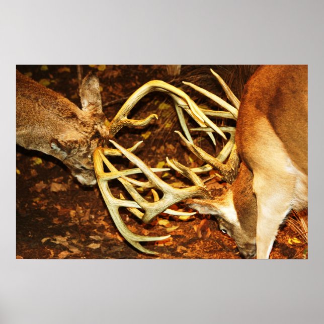 Poster Bataille de Big Bucks (Devant)