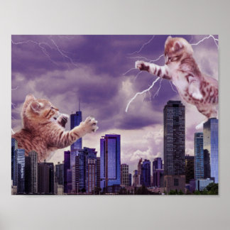 Poster Bataille des Chats