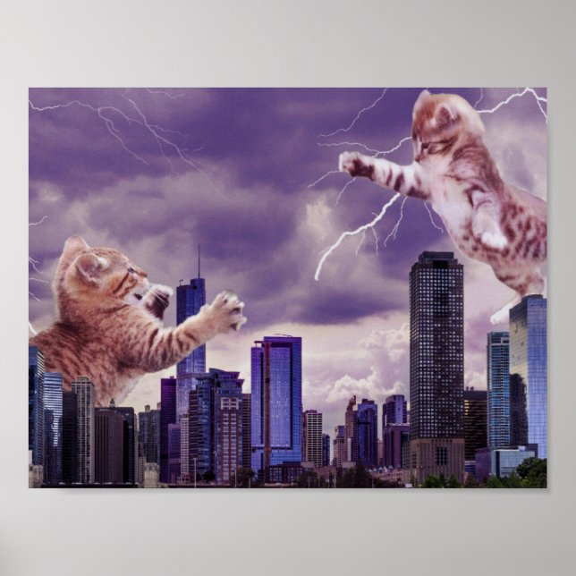 Poster Bataille des Chats (Devant)