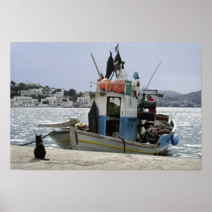 Poster Bateau à lunch pour chat
