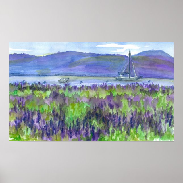 Poster Bateau à voile Purple Lupines aquarelle Peinture (Devant)