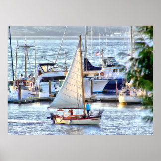 Poster Bateau classique à voile dans Port Hadlock Marina