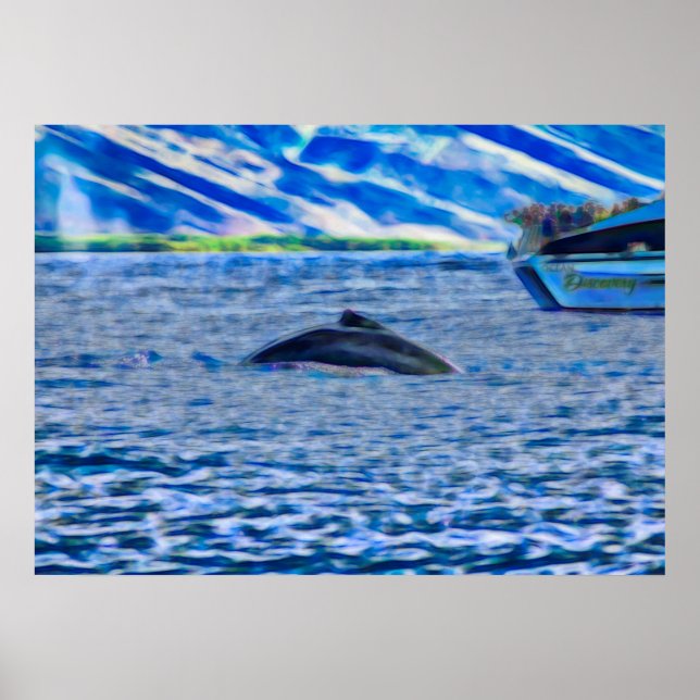 Poster Bateau d'observation des baleines Océan bleu (Devant)