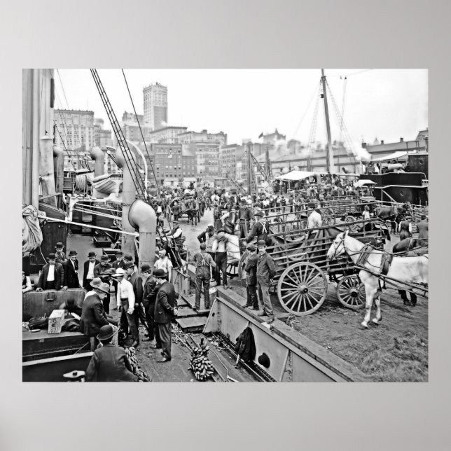 Poster Bateaux Baltimore Banana (Devant)