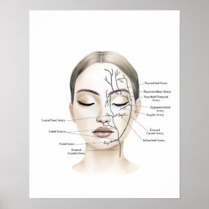 Poster Bateaux de sang facial Anatomie Art