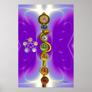 POSTER BÂTON D'ASCLEPIUS 7 CHAKRAS, YOGA, ÉNERGIE SPIRITU