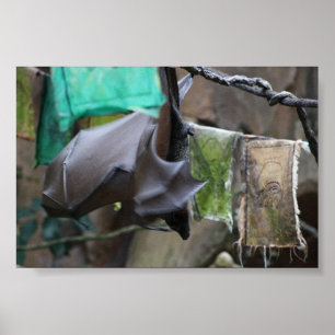 Poster Batte (3) - affiche/copie