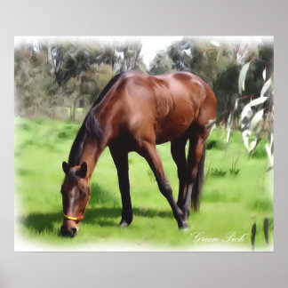Poster Bay Horse Green Pick