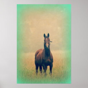 Poster Bay Horse Standing