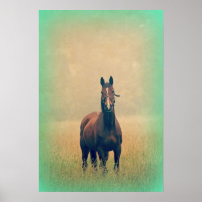 Poster Bay Horse Standing (Devant)
