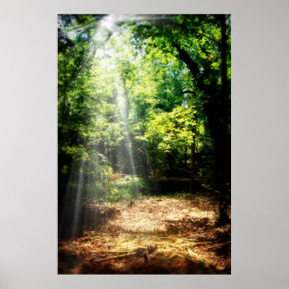 Poster Be Still (Poster du paysage forestier)