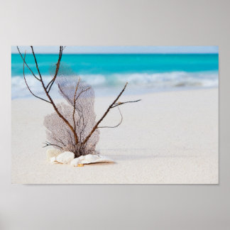 Poster beach and sea-concept beach beach beauty blue cari
