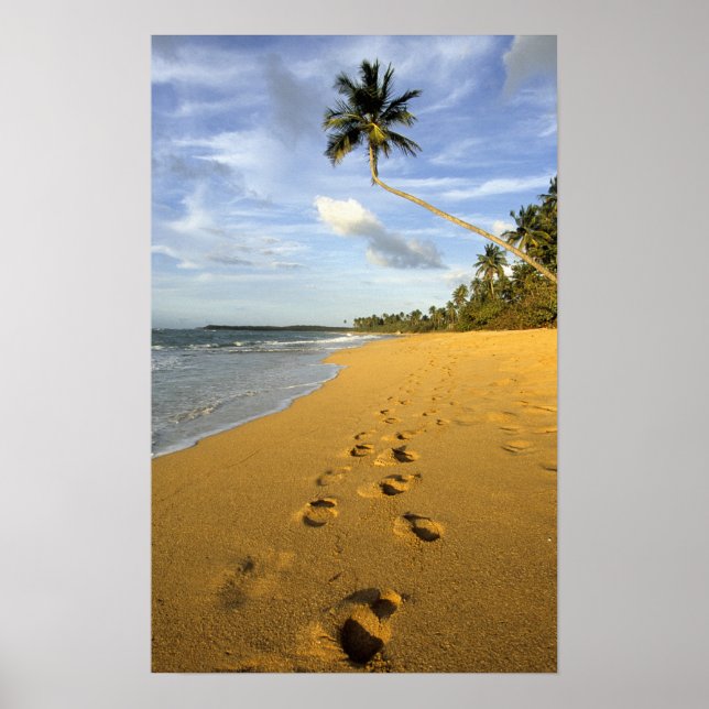 Poster Beach Porto Rico (Devant)