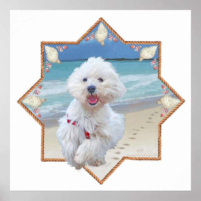 Poster Beach Run (Devant)