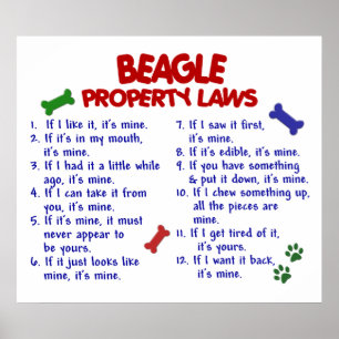 POSTER BEAGLE PL2