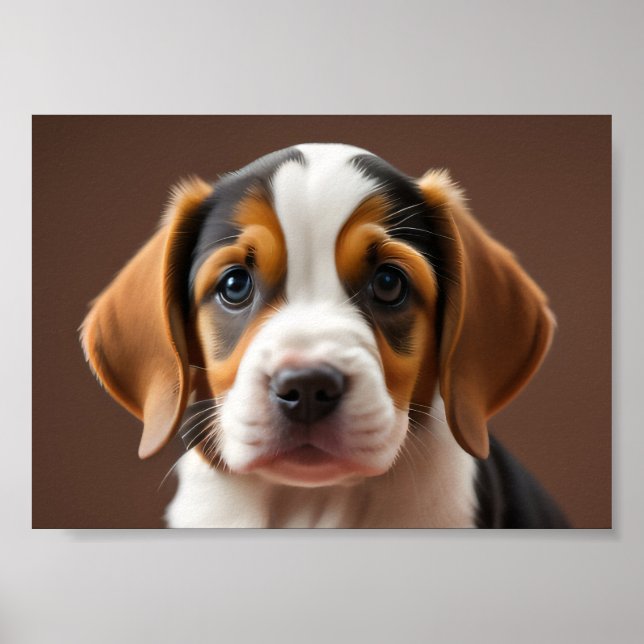 Poster Beagle Puppy (Devant)