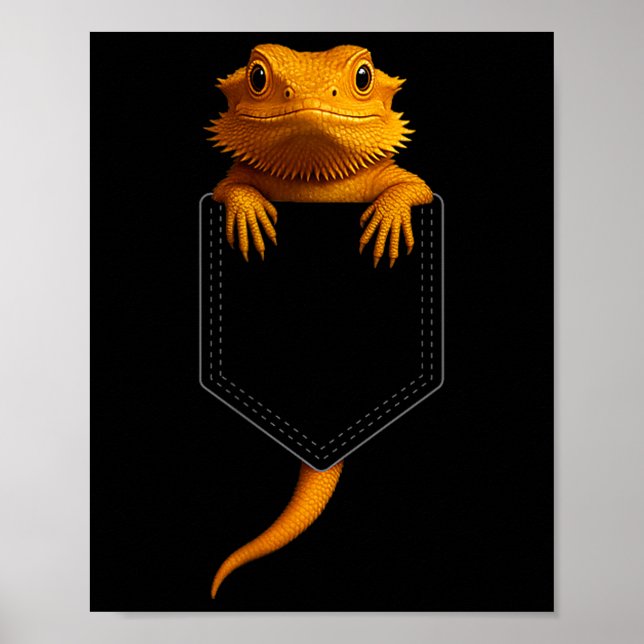 Poster Bearded Dragon Cket Cute Exotic Lizard Reptile Pet (Devant)