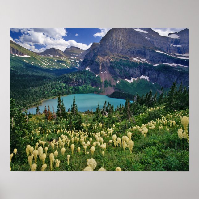 Poster Beargrass au-dessus du lac Grinnell dans le (Devant)