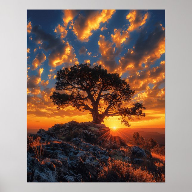 Poster Beau arbre au coucher du soleil (Devant)