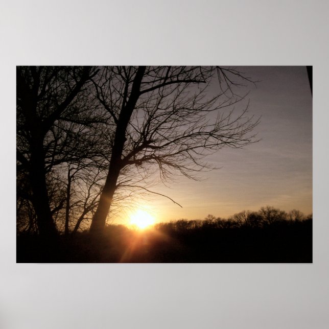 Poster Beau arbre Coucher de soleil paysage photo (Devant)