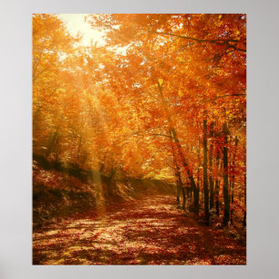 Poster Beau automne