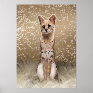 Poster Beau chapeau serval africain sauvage