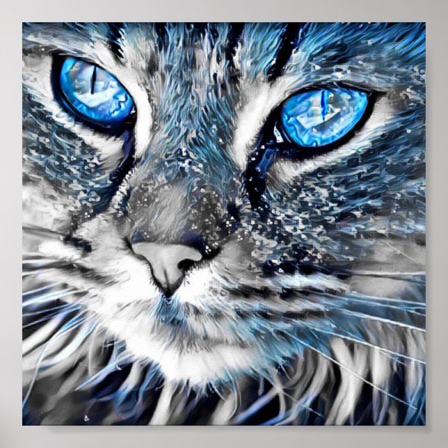 Poster Beau chat aux yeux bleus (Devant)
