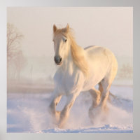 Beau Cheval Blanc Galloping dans la neige