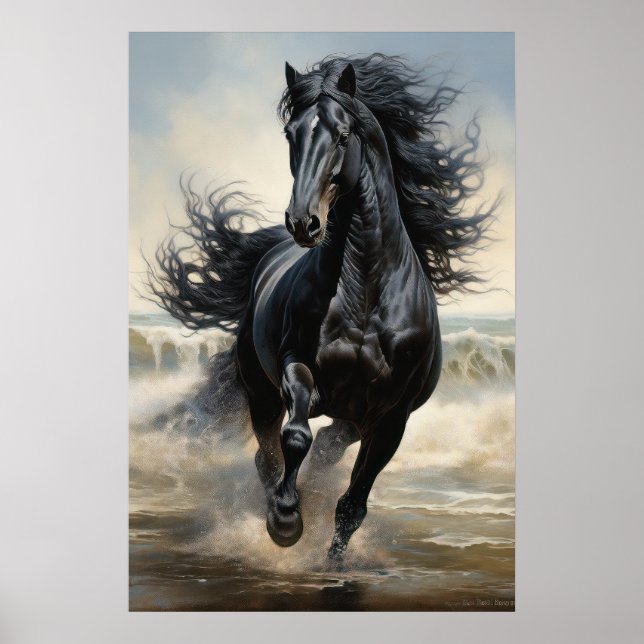 Poster Beau Cheval Noir (Devant)